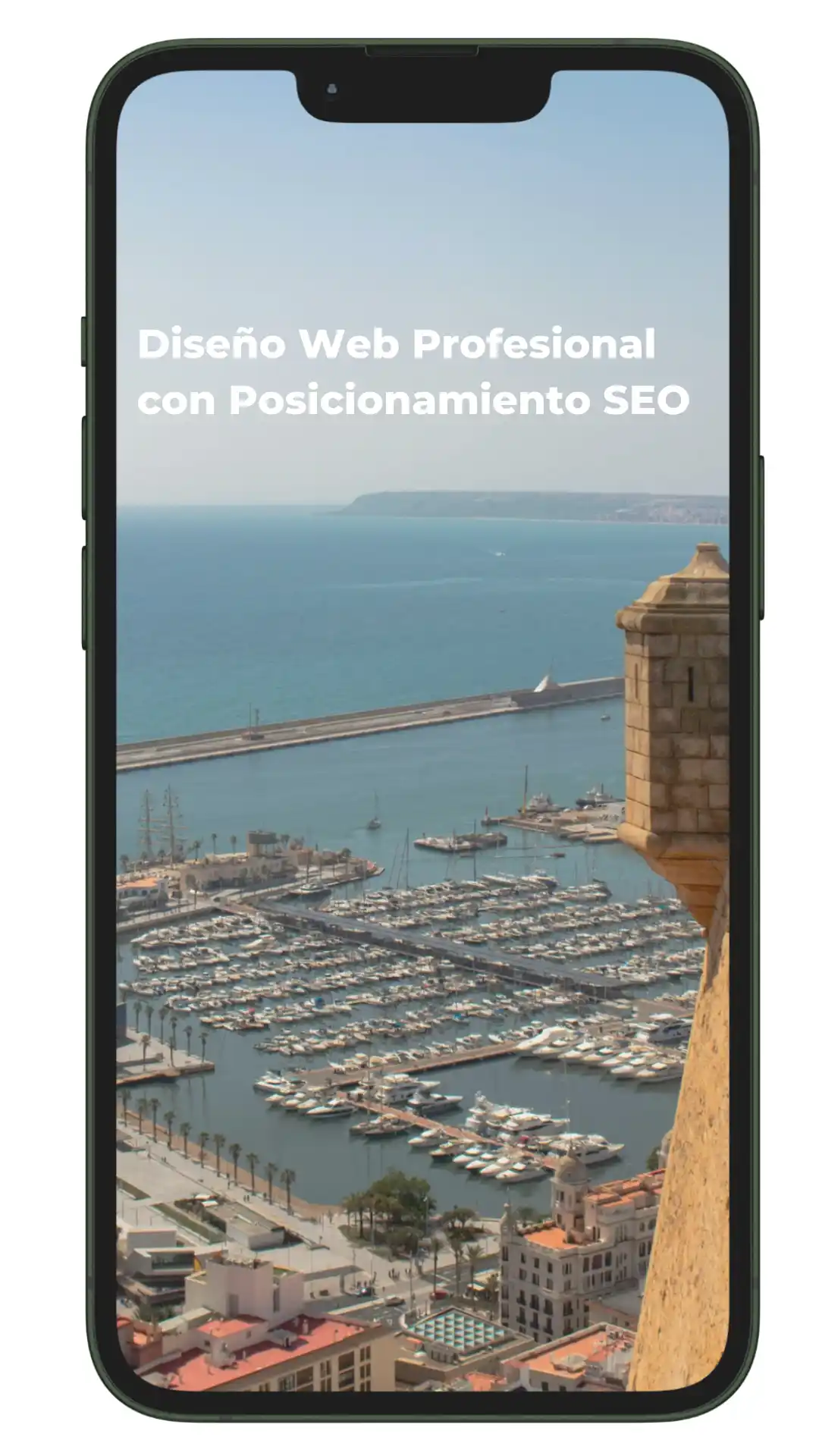 diseno-pagina-web-alicante